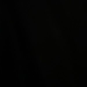 Meet your Posher, Owen